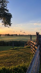 Uiterwaarden van VVV Biesboschlinie