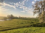 Uiterwaarden van VVV Biesboschlinie