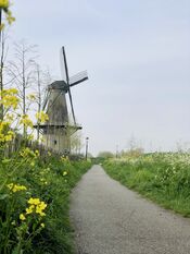 Molen Woudrichem van VVV Biesboschlinie