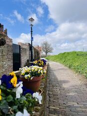 Bloemen bij vesting Woudrichem van VVV Biesboschlinie