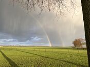 Polder in Andel van VVV Biesboschlinie