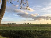 Polder in Wijk en Aalburg van VVV Biesboschlinie