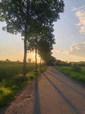 Wijk en Aalburg van VVV Biesboschlinie