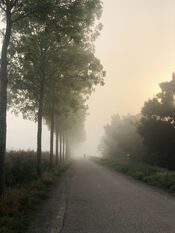 Fietsen in Wijk en Aalburg van VVV Biesboschlinie