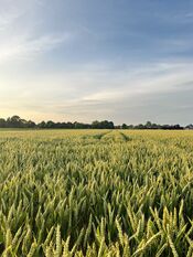 Polder Wijk en Aalburg van VVV Biesboschlinie
