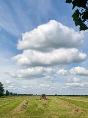 Polder Wijk en Aalburg van VVV Biesboschlinie