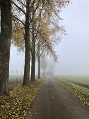 Wijk en Aalburg van VVV Biesboschlinie