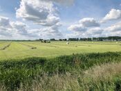 Polder Wijk en Aalburg van VVV Biesboschlinie