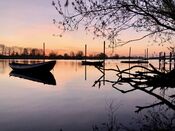 Afgedamde Maas van VVV Biesboschlinie