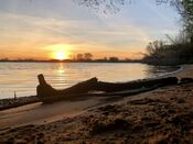 Strand bij Afgedamde Maas van VVV Biesboschlinie