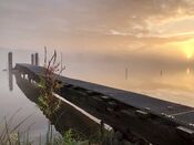 Afgedamde Maas van VVV Biesboschlinie