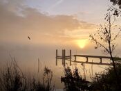 Afgedamde Maas van VVV Biesboschlinie