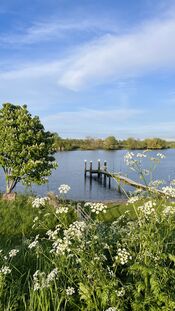 Afgedamde Maas van VVV Biesboschlinie