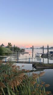 Afgedamde Maas van VVV Biesboschlinie