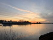 Afgedamde Maas van VVV Biesboschlinie