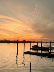 Afgedamde Maas van VVV Biesboschlinie