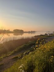 Afgedamde Maas van VVV Biesboschlinie