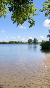 Strand Afgedamde Maas van VVV Biesboschlinie