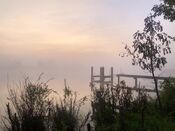 Afgedamde Maas van VVV Biesboschlinie