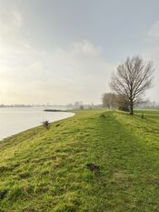Wijkerzand van VVV Biesboschlinie
