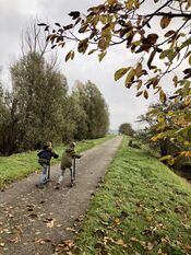 Kinderen op de step van VVV Biesboschlinie