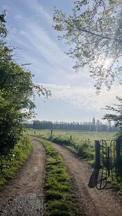 Wijkerzand van VVV Biesboschlinie