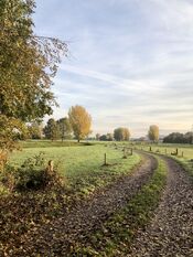 Wijkerzand van VVV Biesboschlinie