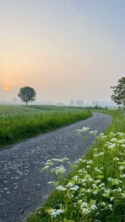 Wijkerzand van VVV Biesboschlinie