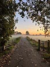Wijkerzand van VVV Biesboschlinie