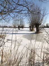 Wijkerzand van VVV Biesboschlinie