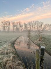 Wijkerzand van VVV Biesboschlinie