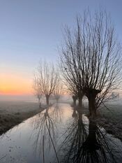 Wijkerzand van VVV Biesboschlinie
