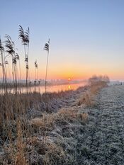 Wijkerzand van VVV Biesboschlinie