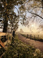 Wijkerzand van VVV Biesboschlinie