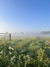 Wijkerzand van VVV Biesboschlinie