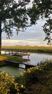 Natuur bij Kasteel Dussen van VVV Biesboschlinie