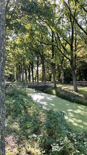 Brug bij Kasteel Dussen van VVV Biesboschlinie