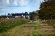 Wandelen op landgoed Kraaiveld van VVV Biesboschlinie
