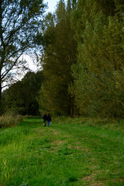 Wandelen van VVV Biesboschlinie