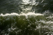 Water van VVV Biesboschlinie