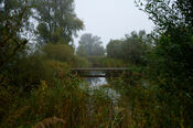 Wandelen in de Biesbosch van VVV Biesboschlinie