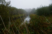 Biesbosch van VVV Biesboschlinie