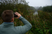 Wandelen in de Biesbosch van VVV Biesboschlinie