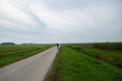 Wandelen van VVV Biesboschlinie