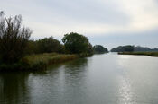 Biesbosch van VVV Biesboschlinie