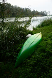 Kanoen in de Biesbosch van VVV Biesboschlinie