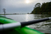 Kanoen in de Biesbosch van VVV Biesboschlinie