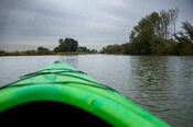 Kanoen in de Biesbosch van VVV Biesboschlinie