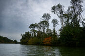 Biesbosch van VVV Biesboschlinie