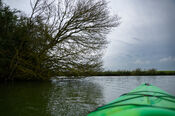 Kanoen in de Biesbosch van VVV Biesboschlinie